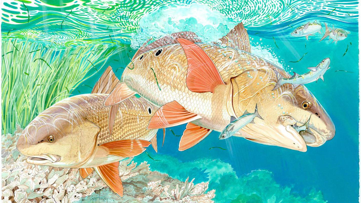 Guy Harvey: Big Plans for His Brand